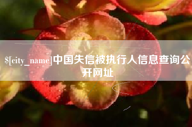 四平中国失信被执行人信息查询公开网址