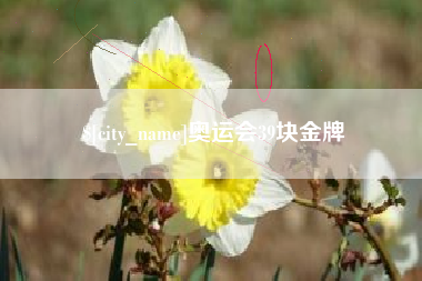 四平奥运会39块金牌