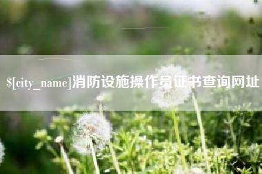 四平消防设施操作员证书查询网址