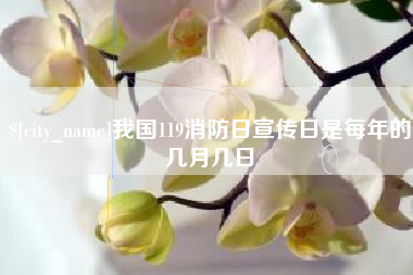 四平我国119消防日宣传日是每年的几月几日