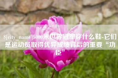 四平5000米世界冠军穿什么鞋-它们是运动员取得优异成绩背后的重要“功臣”