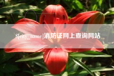 四平消防证网上查询网站