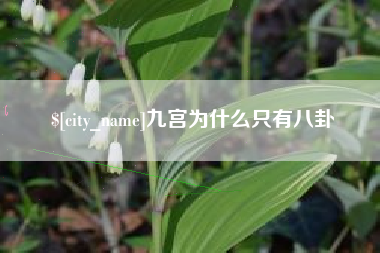 四平九宫为什么只有八卦