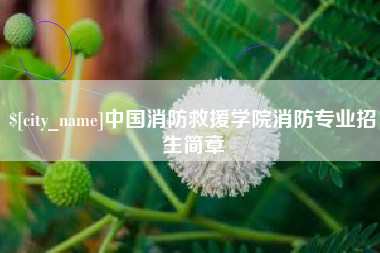 四平中国消防救援学院消防专业招生简章