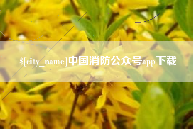 四平中国消防公众号app下载