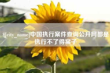 四平中国执行案件查询公开网都是执行不了得案子