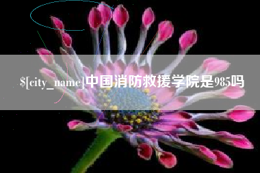 四平中国消防救援学院是985吗