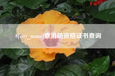 四平查消防资格证书查询
