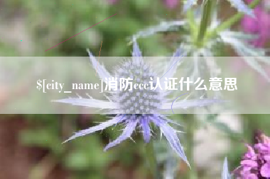 四平消防ccc认证什么意思