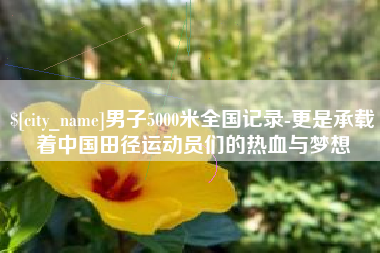 四平男子5000米全国记录-更是承载着中国田径运动员们的热血与梦想