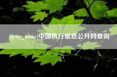 四平中国执行信息公开网查询