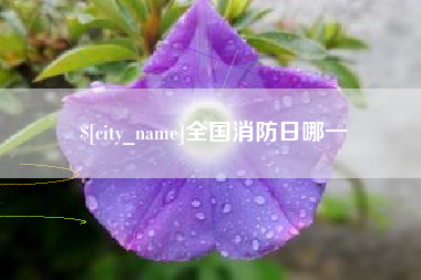 四平全国消防日哪一