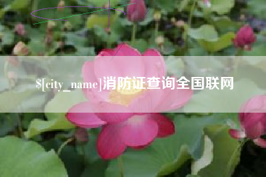 四平消防证查询全国联网