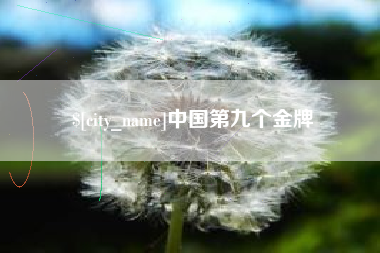 四平中国第九个金牌