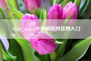 四平中国消防网官网入口