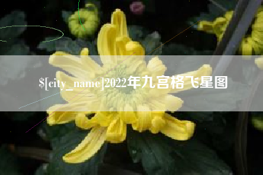 四平2022年九宫格飞星图