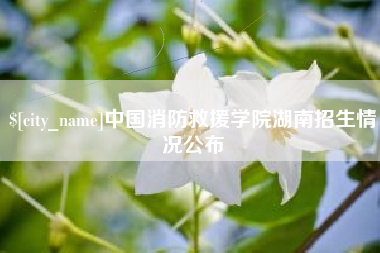 四平中国消防救援学院湖南招生情况公布