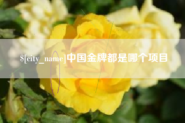 四平中国金牌都是哪个项目