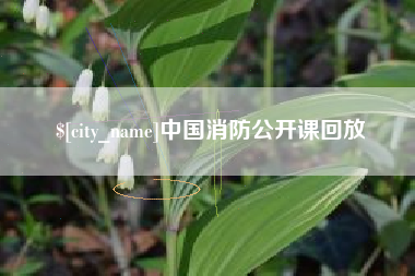 四平中国消防公开课回放