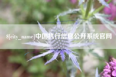 四平中国执行信息公开系统官网