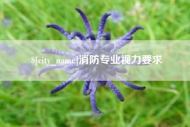 四平消防专业视力要求