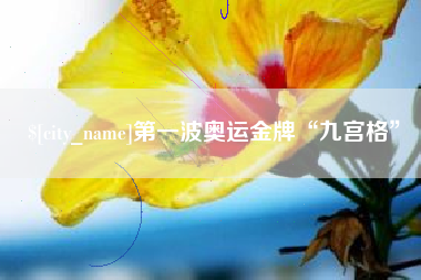 四平第一波奥运金牌“九宫格”