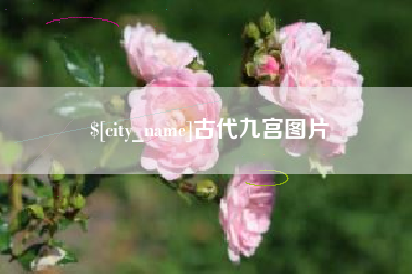 四平古代九宫图片
