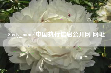四平中国执行信息公开网 网址