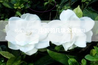 四平中国的几块金牌2021