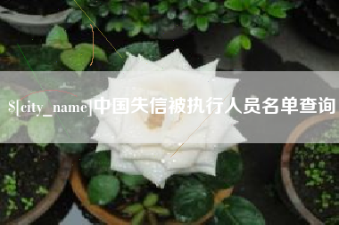 四平中国失信被执行人员名单查询
