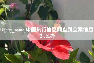 四平中国执行信息网查到立案信息怎么办