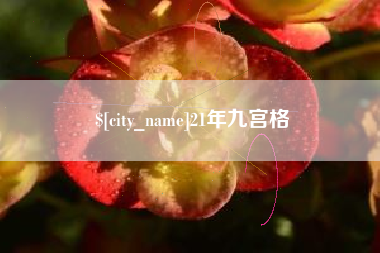 四平21年九宫格