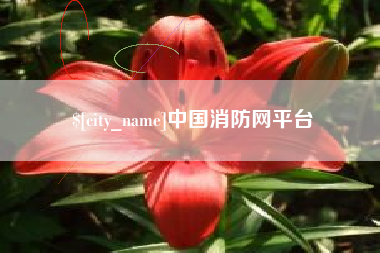 四平中国消防网平台