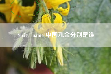四平中国九金分别是谁