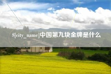 四平中国第九块金牌是什么