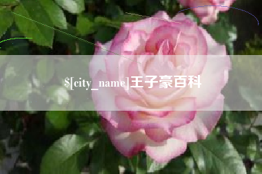 四平王子豪百科