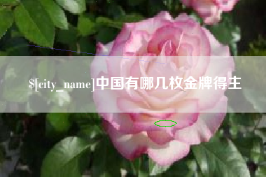 四平中国有哪几枚金牌得主