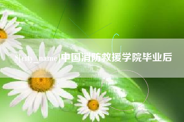 四平中国消防救援学院毕业后