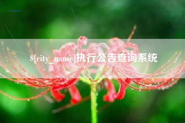 四平执行公告查询系统