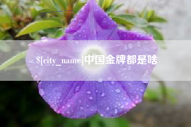 四平中国金牌都是啥