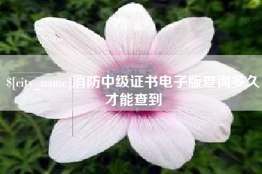 四平消防中级证书电子版查询多久才能查到