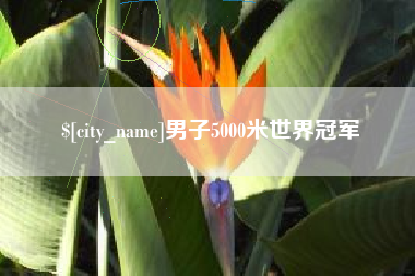 四平男子5000米世界冠军