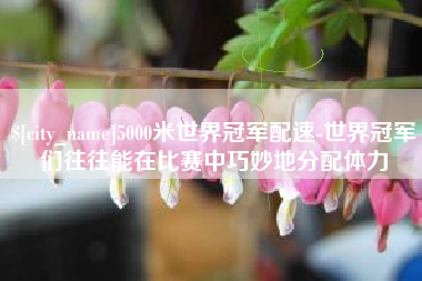 四平5000米世界冠军配速-世界冠军们往往能在比赛中巧妙地分配体力