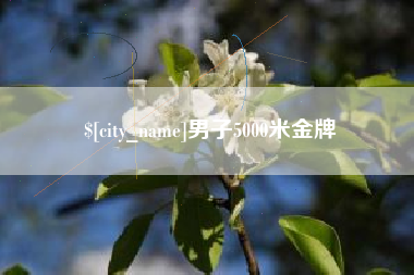 四平男子5000米金牌