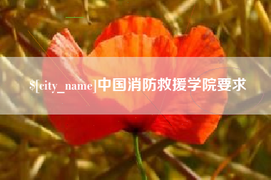 四平中国消防救援学院要求