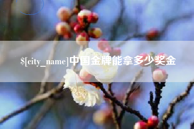 四平中国金牌能拿多少奖金