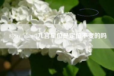 四平九宫星位是定位不变的吗