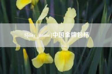 四平中国金牌包括