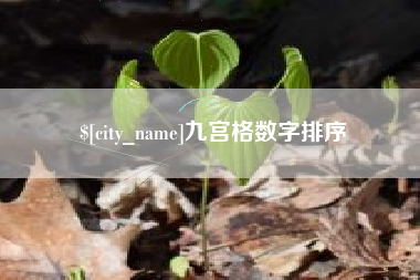 四平九宫格数字排序