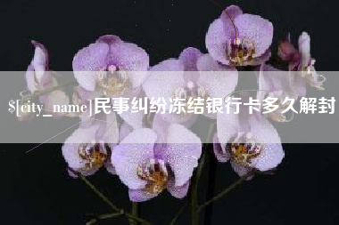 四平民事纠纷冻结银行卡多久解封